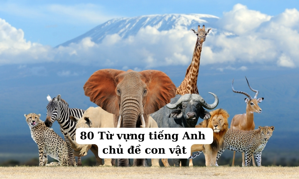 80 Từ vựng tiếng Anh chủ đề con vật